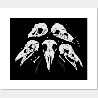 Bird skulls with feathers Posters and Art